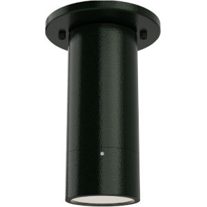 cat-downlights